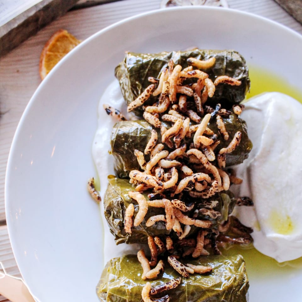 Leaf-wrapped savory rolls topped with crispy fried insects, served with creamy sauce and green oil on a white plate.